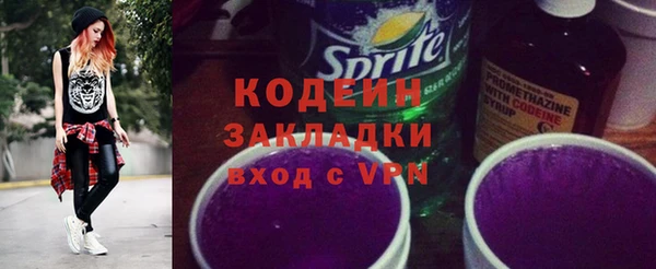 крисы Бронницы