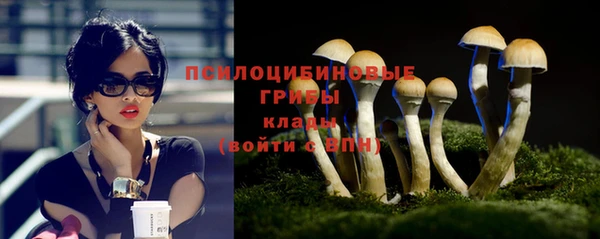 крисы Бронницы