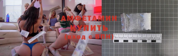 крисы Бронницы