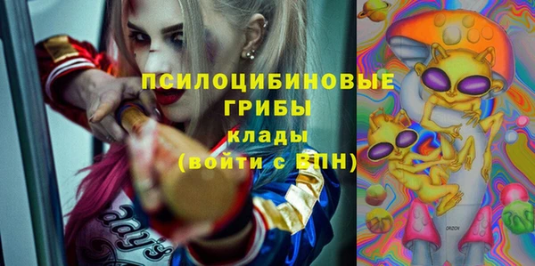 крисы Бронницы