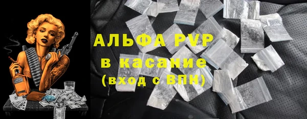 PSILOCYBIN Богородск