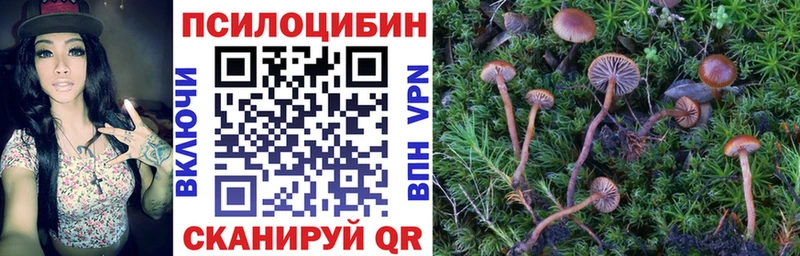 Псилоцибиновые грибы Psilocybine cubensis  что такое наркотик  Минеральные Воды 