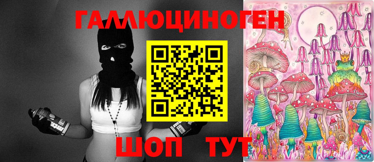 Псилоцибиновые грибы Psilocybe  Вход с VPN  Минеральные Воды 